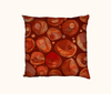 cushion with abstract red/orange/brown pattern reminiscent of rocks