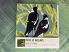 Pack of five cards featuring the birds of Adelaide