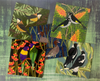 Pack of five cards featuring the birds of Adelaide
