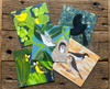 Pack of five cards featuring birds of the Top End mangroves.