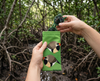 Canvas glasses slip case featuring two very round and highly stylised long-tailed finches on a green background - a pair of green sunglasses is being removed from the case against a mangrove backdrop