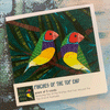 Finches of the Top End card pack