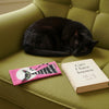 Canvas glasses slip case featuring a stylised black and grey striped cat on a bright pink background with a large white full moon behind it.