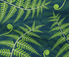 fern pattern fabric