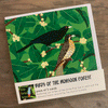 Monsoon Forest Card Pack