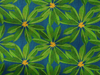 sandpaper fig pattern on deep blue background