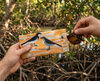 A pair of sunglasses being removed from a canvas glasses slip case showing a stylised male and female white-breasted whistler on a mangrove flat. In the background are mangroves.
