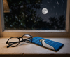 Canvas glasses slip case featuring a pop art bush stone curlew on a striped blue background on a window ledge with a pair of black glasses. Outside it is night and there is a full moon.